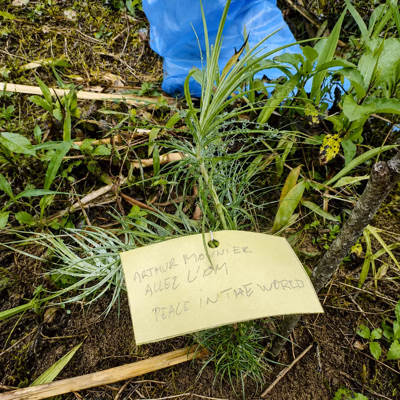 Des voyageurs internationaux participent avec enthousiasme à la plantation d’arbres sur le plateau de Dong Van lors de leur découverte de cette région, contribuant ainsi à la préservation de son environnement naturel. Photo: vnexpress.net