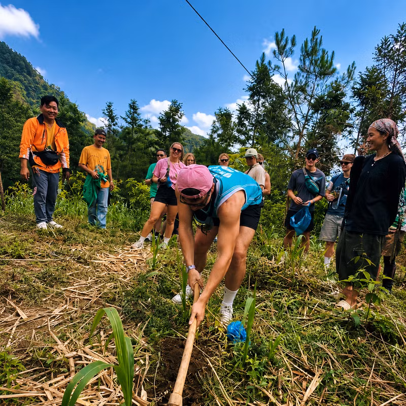Planter un jeune arbre de ses propres mains constitue une expérience mémorable pour les touristes étrangers lors de leur découverte du plateau calcaire de Dong Van, leur permettant de participer activement à la préservation de ce paysage unique. Photo: vnexpress.net