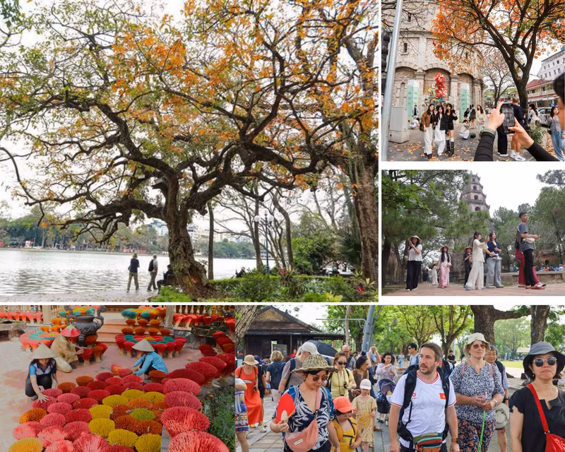 Le Vietnam accélère sa transition vers le tourisme durable avec de nouveaux circuits verts. Photo : VNA