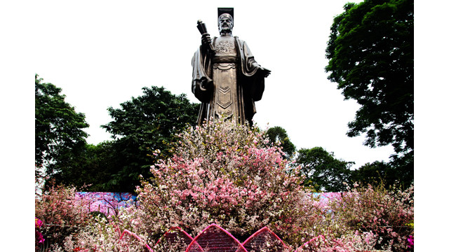 20 000 branches de fleurs de cerisier au jardin du Ri Ly Thai Tô ảnh 3