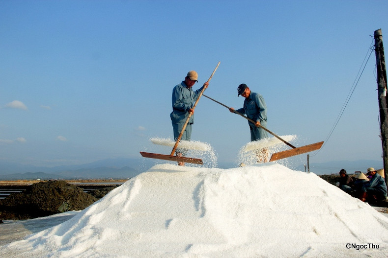 Le champ de sel de Hon Khoi ảnh 6