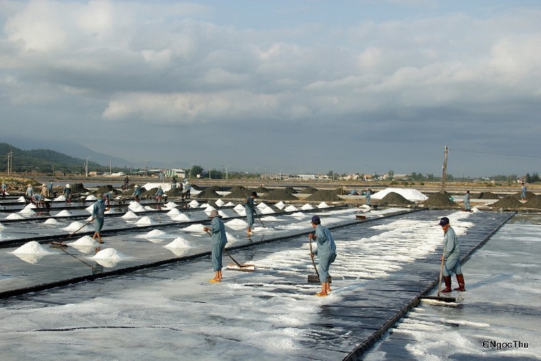 Le champ de sel de Hon Khoi ảnh 3