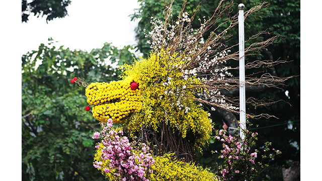 20 000 branches de fleurs de cerisier au jardin du Ri Ly Thai Tô ảnh 8