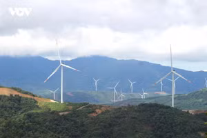 La pensée de Hô Chi Minh sur l’économie privée conserve toute son actualité