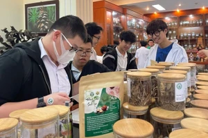 Des étudiants visitent le Musée vietnamien des matériaux médicinaux. Photo : NDEL.