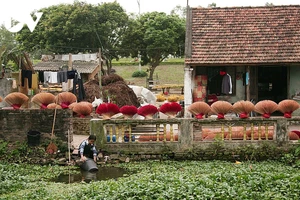Le village artisanal de l’encens à Son Nam en pleine effervescence pour le Tet