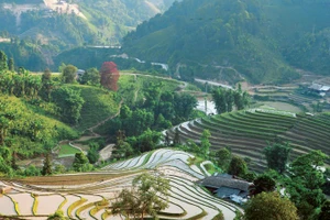 Espaces paisibles et préservés de Ban Liên. 