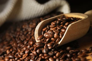 En janvier 2026, les exportations sont estimées à 180 000 tonnes, pour une valeur de 981 millions de dollars.