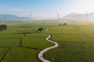 Accueillir l’aube au cœur des éoliennes de Khanh Hoa