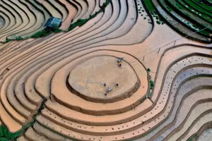 Les rizières en terrasses de Mu Cang Chai à la saison des eaux
