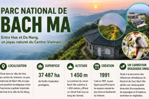 Au parc national de Bach Ma, préserver la nature tout en développant l'écotourisme
