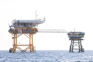 Printemps sur les « bornes vivantes » au milieu de l’océan