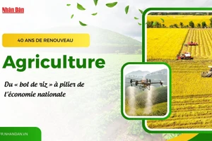 L’agriculture vietnamienne après 40 ans de Renouveau : du « bol de riz » à pilier de l’économie nationale