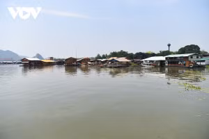 Dans la commune de Pak Phraek (province de Kanchanaburi, en Thaïlande), on compte environ six à sept lignées d’origine vietnamienne installées depuis plusieurs générations.