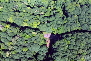 Verdoyante après plusieurs décennies de croissance, la forêt de Xuan Son est entièrement issue de plantations : il ne s’agit ni d’une forêt naturelle ni d’une régénération naturelle.