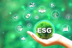 L'application des critères ESG (environnementaux, sociaux et de gouvernance) dans la production agricole s'impose aujourd'hui comme une tendance majeure. Photo d'illustration