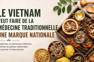 Le Vietnam fait de la médecine traditionnelle une priorité nationale