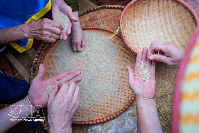 Les membres des équipes vannent, tamisent et lavent le riz après le décorticage du paddy, préparant ainsi l’étape de cuisson. Photo : VNA.