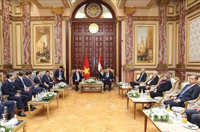 La réunion entre le président vietnamien Luong Cuong et le président du Sénat égyptien, Abdel-Wahab Abdel-Razeq. Photo : VNA. La réunion entre le président vietnamien Luong Cuong et le président du Sénat égyptien, Abdel-Wahab Abdel-Razeq. Photo : VNA.