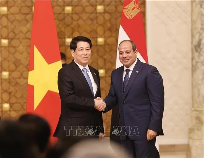 Le président vietnamien Luong Cuong (à gauche) et le président égyptien Abdel Fattah El-Sisi. Photo : VNA. Le président vietnamien Luong Cuong (à gauche) et le président égyptien Abdel Fattah El-Sisi. Photo : VNA.