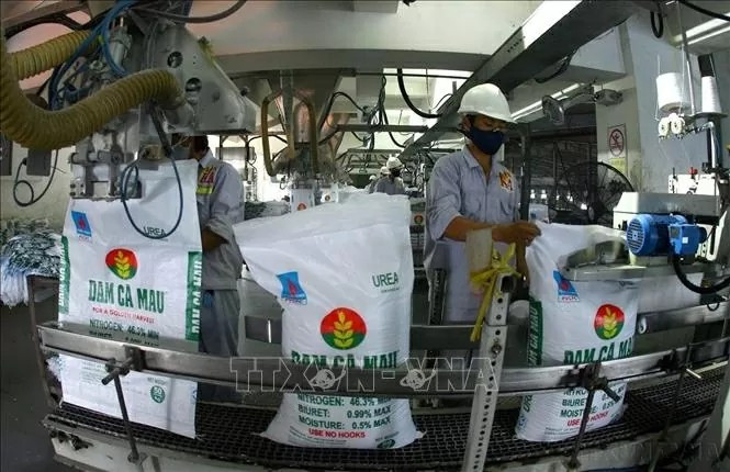 Le riz constitue l’un des produits phares du Vietnam sur le marché angolais. Photo : VNA. gao-angola.jpg