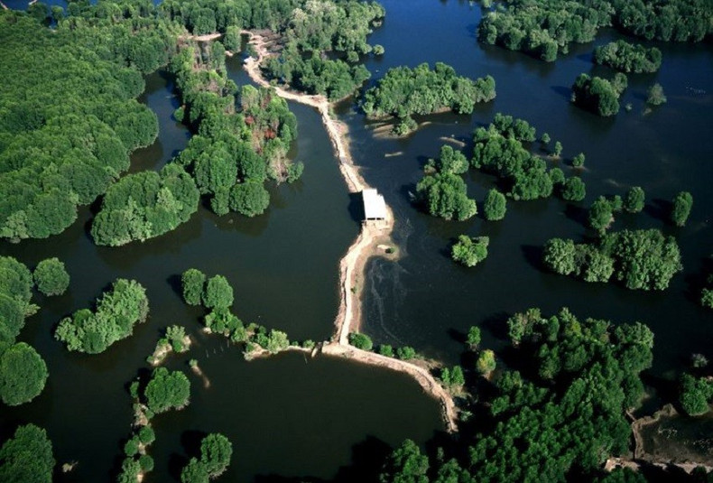 La réserve de biosphère mondiales de Can Gio. Photo : VNA. khu-du-tru-sinh-quyen-can-gio-vna.jpg