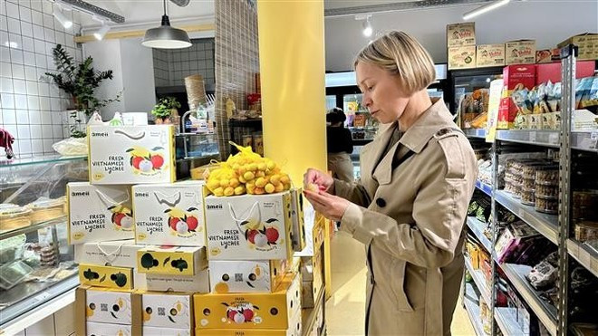 Une cliente française déguste les premiers litchis de la récolte vietnamienne 2025. Photo : VNA. Une cliente française déguste les premiers litchis de la récolte vietnamienne 2025. Photo : VNA.