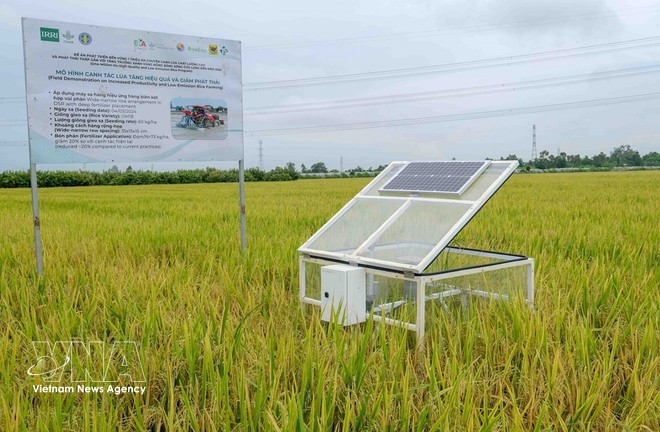 Système de surveillance environnementale automatisé, alimenté par énergie solaire, installé dans les champs de la coopérative New Green Farm. Photo : VNA.