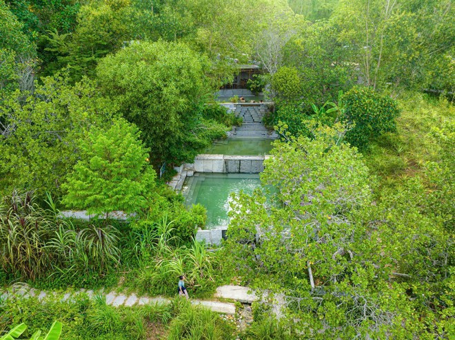 À l’éco-resort Lang Nho, dans la province de Khanh Hoa, des bungalows surplombant un lac sont nichés sous la canopée des arbres. Photo : Lang Nho.