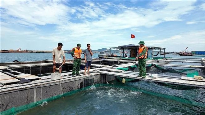 Les gardes-frontières de Co To mobilisent les aquaculteurs pour débarquer afin d'éviter la tempête. Photo : VNA. 2-8058.jpg