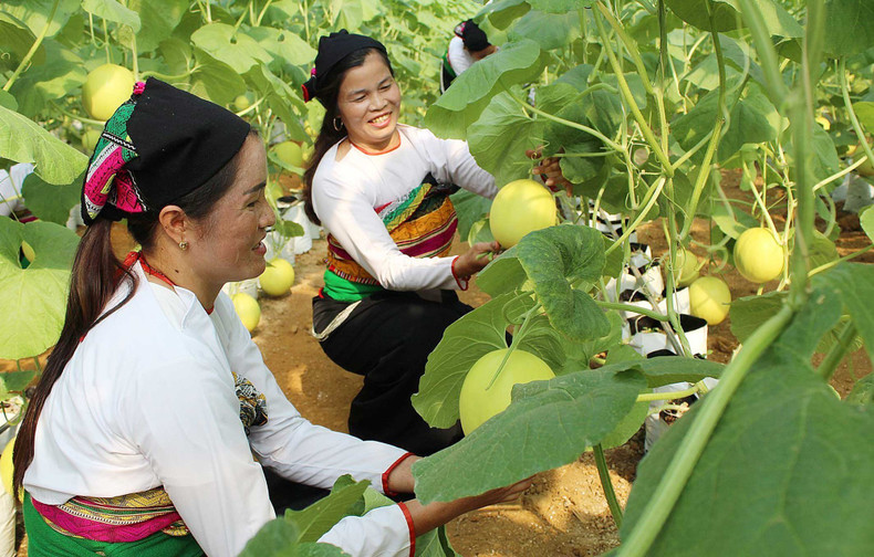Le taux de ménages en situation de pauvreté a diminué en moyenne de 1,03 point de pourcentage par an. Photo : mst.gov.vn pauvrete-mst-gov-vn.jpg