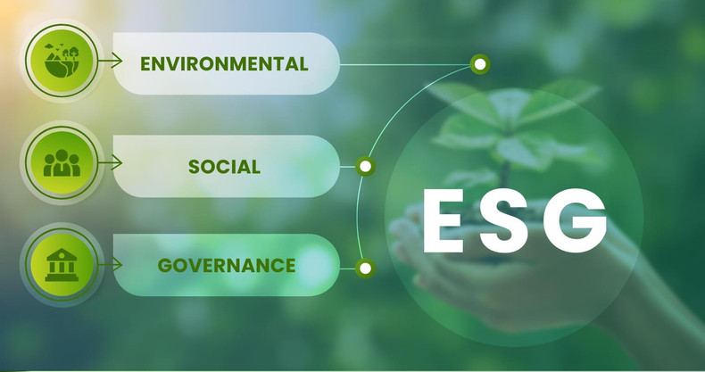 esg-vneconomy.jpg