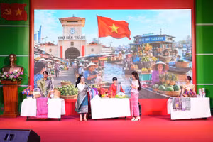 La finale du Concours national d’éloquence en vietnamien destiné aux étrangers - Da Nang 2026. Photo : thoidai.com.vn
