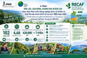 On estime que 420 000 personnes bénéficieront directement du projet RECAF et plus d'un million indirectement. Photo : thoidai.com.vn