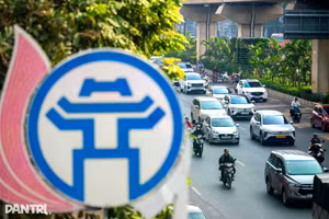 Le Service de la construction de Hanoï met actuellement à l’essai des solutions d’aménagement, de plantation et de rénovation des espaces verts, ainsi que de renforcement de la végétalisation autour de certains piliers du métro aérien, échangeurs routiers, passages souterrains, abribus et ouvrages d’infrastructure urbaine, afin d’améliorer le paysage de la capitale. Photo : dantri.vn