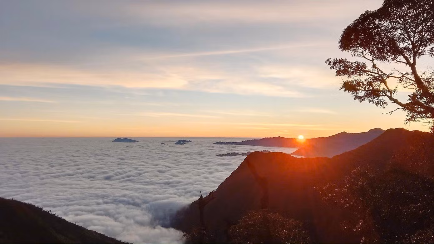 Située entre 1 500 et 1 800 mètres d'altitude, Ta Xua séduit les visiteurs par son climat tempéré, sa célèbre mer de nuages, ses théiers centenaires shan tuyet, les maisons traditionnelles des H'mong, ainsi que son artisanat et sa gastronomie. Photo : Dinh Son/ tienphong.vn