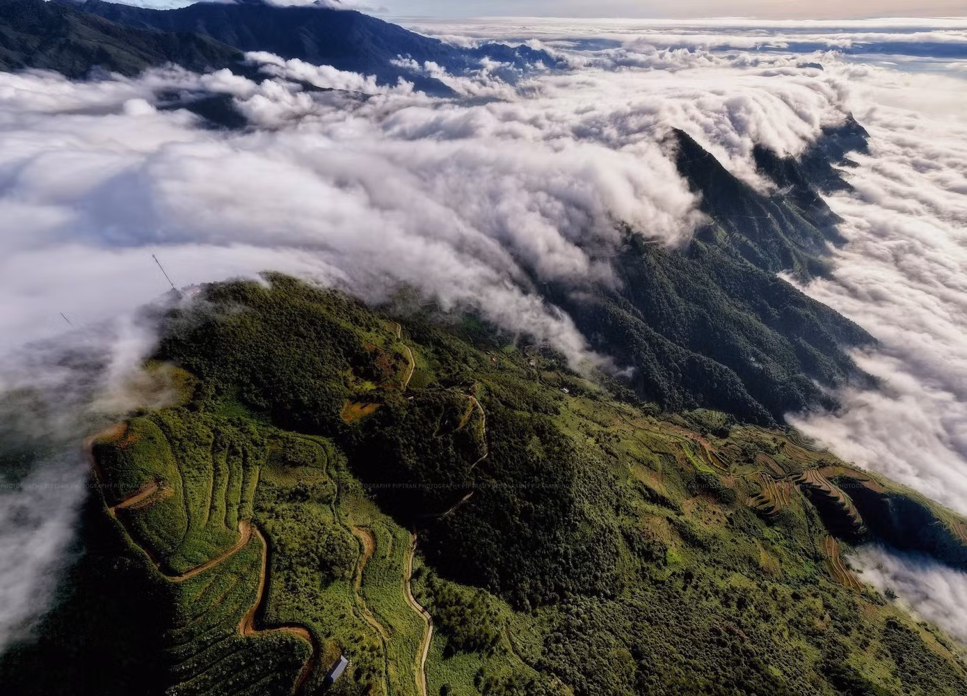 Ta Xua ne désigne pas uniquement un sommet, mais un vaste ensemble montagneux englobant les communes de Ta Xua, Lang Cheu et Hang Dong, sur une superficie de plus de 230 km². Photo : Tran Cuong/ tienphong.vn
