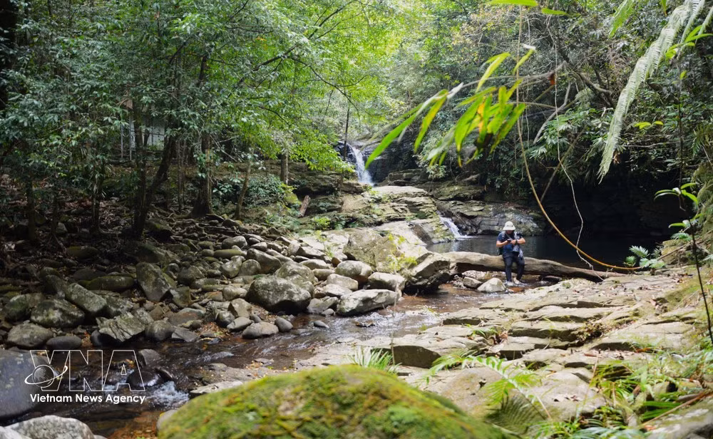 La cascade de Ngu Ho déploie un paysage d'une beauté romantique au cœur d'une végétation luxuriante de montagne. Photo : VNA.