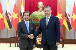 Le secrétaire général du PCV, Tô Lâm (droite), et le sultan de Brunei, Haji Hassanal Bolkiah, en visite d'État au Vietnam. Photo : Dang Khoa/NDEL
