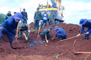 L'équipe K72 du Commandement militaire de la ville de Dong Nai remplit ses fonctions sans jour de congé. Photo : NDEL