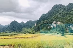 La province de Cao Bang est un joyau du Nord-Est du Vietnam. Son paysage se distingue par une topographie karstique spectaculaire, des rizières verdoyantes et une nature sauvage. Photo : An Binh/baoquocte.vn