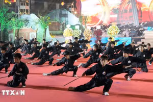 Hanoï organisera du 7 au 9 août la première édition de son Festival international des arts martiaux. Photo: VNA 