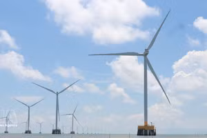 Le projet de centrale éolienne de Tân Thuân (phases 1 et 2), dans la commune éponyme de la province de Cà, a une capacité totale de 75 MW, comprenant 18 tours de turbines éoliennes. Photo : VNA. 