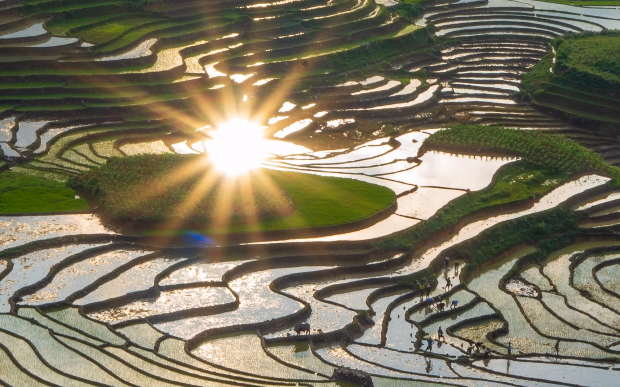 La saison des eaux constitue un attrait particulier pour les visiteurs venus contempler les rizières en terrasses de Muong Bo. Photo : baolaocai.vn