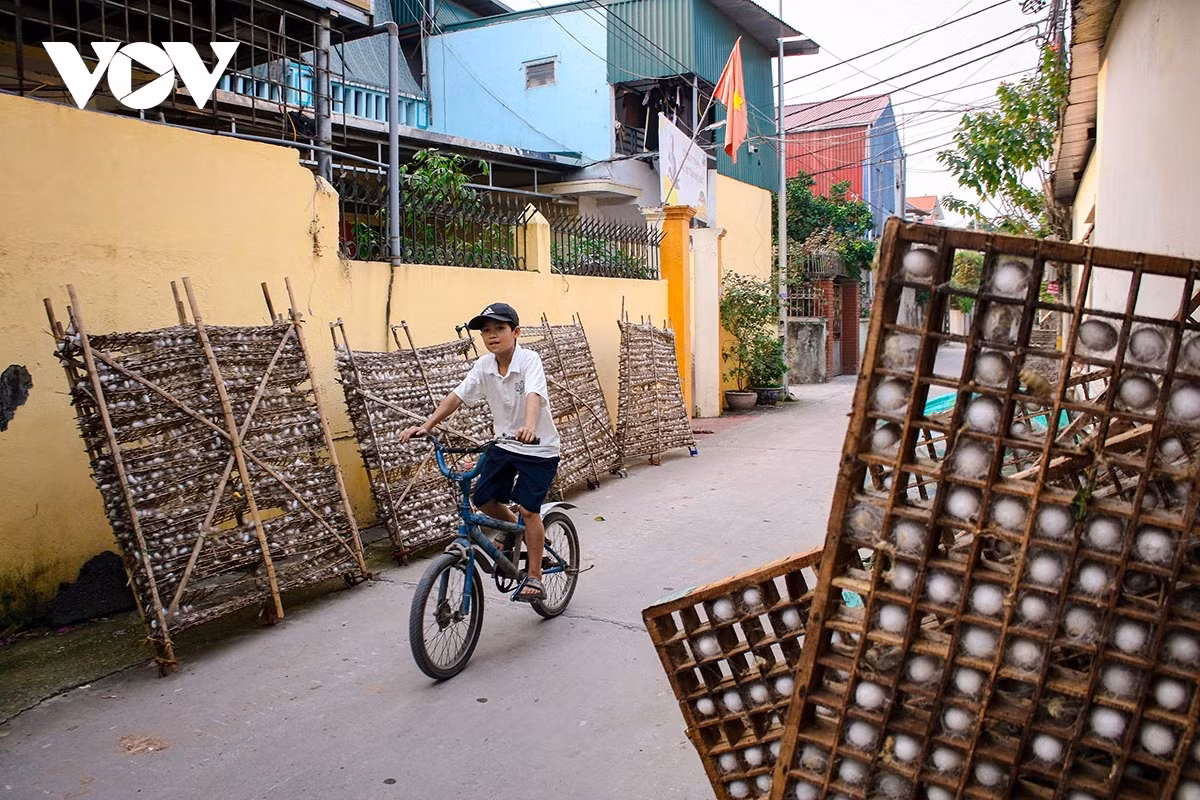Le village de tissage de la soie de Phung Xa (commune de Hong Son, Hanoï) est depuis longtemps réputé comme le berceau de la culture du mûrier, de l'élevage du ver à soie et du tissage de la soie dans le nord du Vietnam. Photo : VOV.