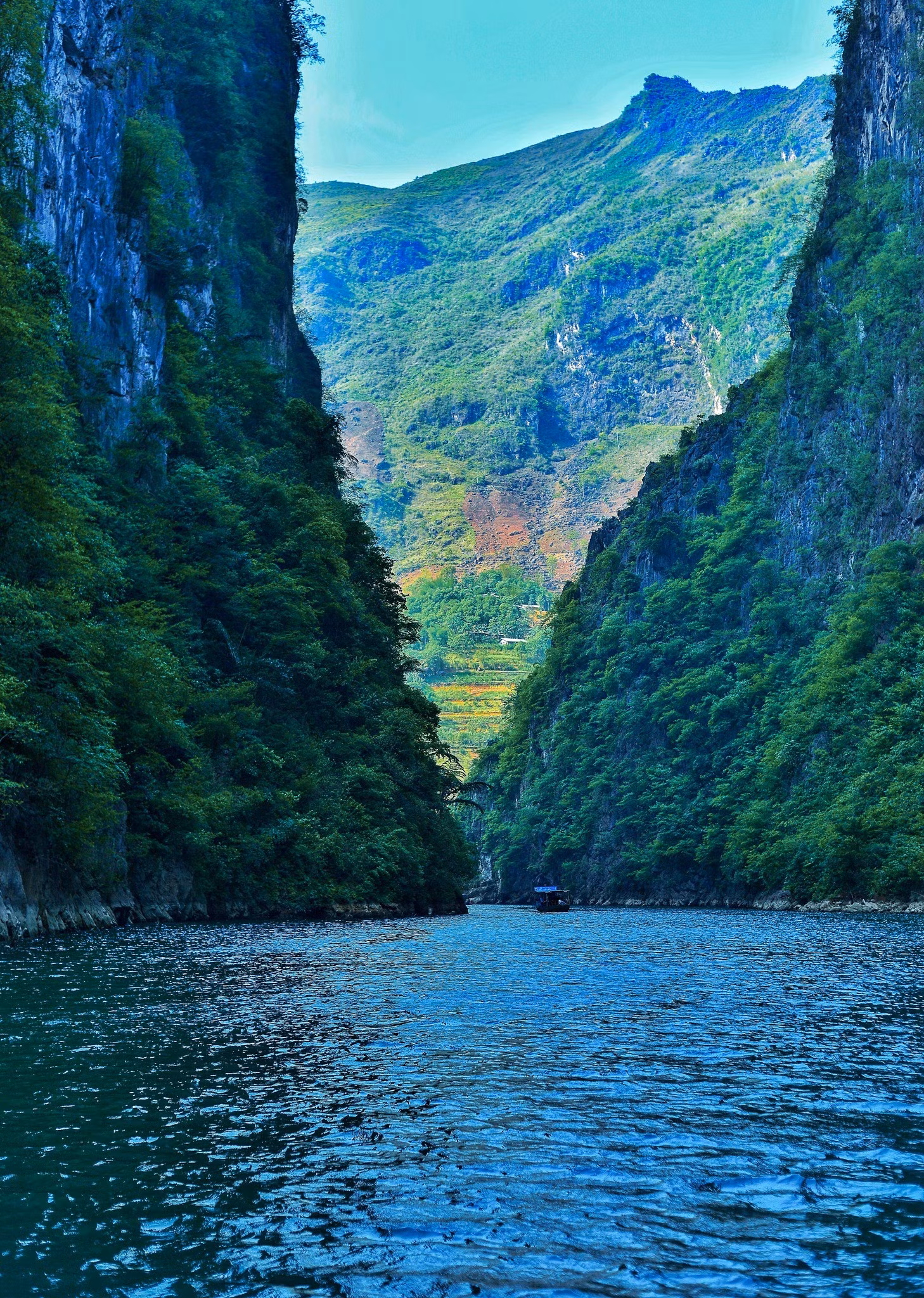 g.jpg