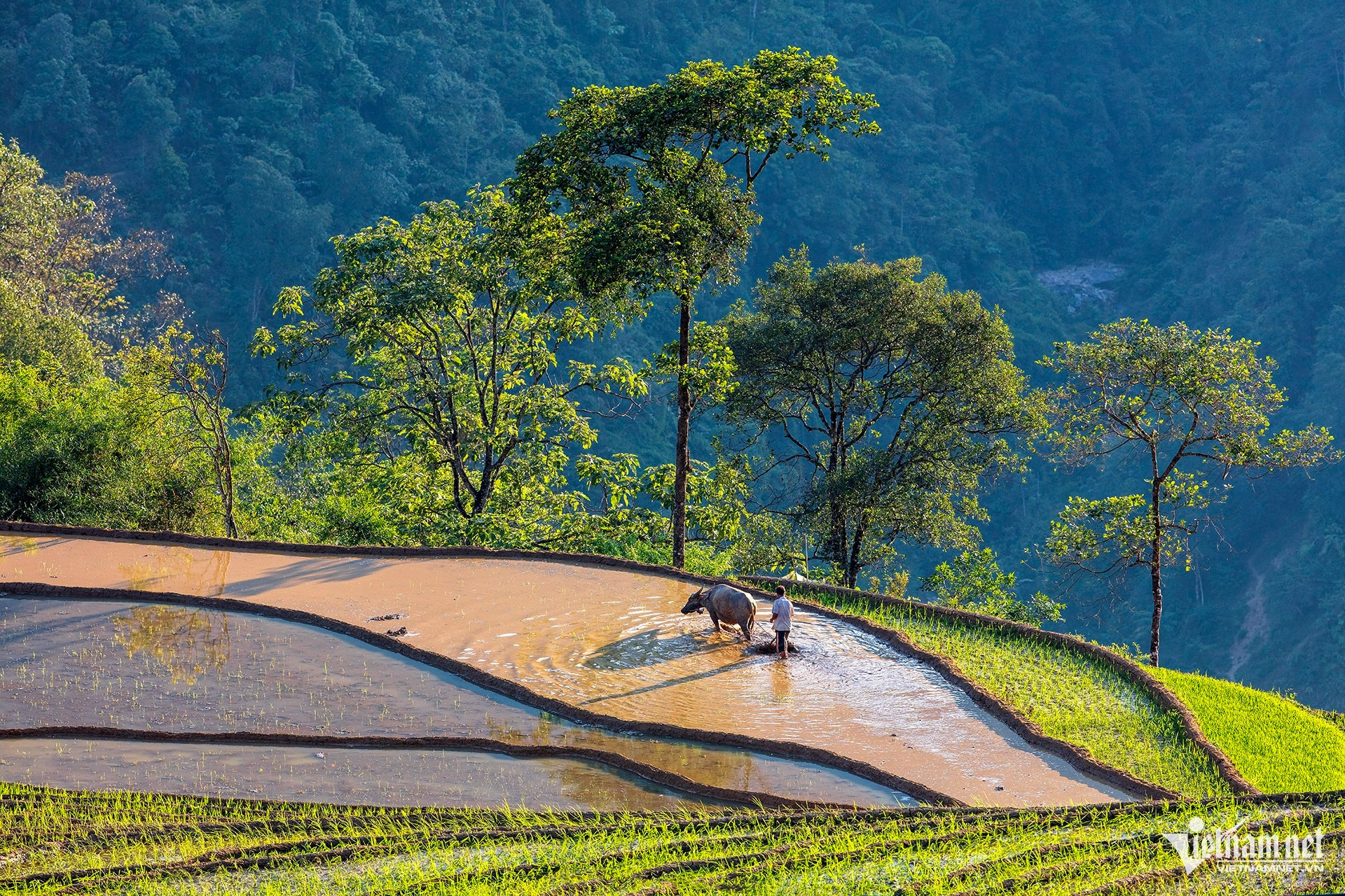 Les populations des minorités ethniques vivant dans les régions montagneuses continuent, avec une admirable persévérance, à préserver leurs coutumes, leurs traditions et leur mode de vie ancestral, malgré le rythme du développement contemporain. Photo : vietnamnet.vn 