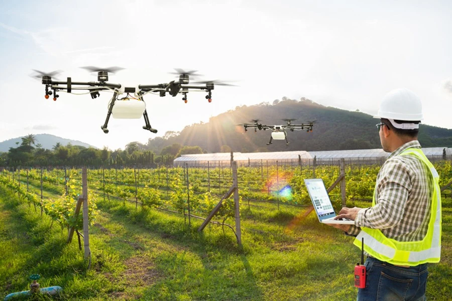 Utilisation de drones pour pulvériser des produits phytosanitaires. Photo : VGP.