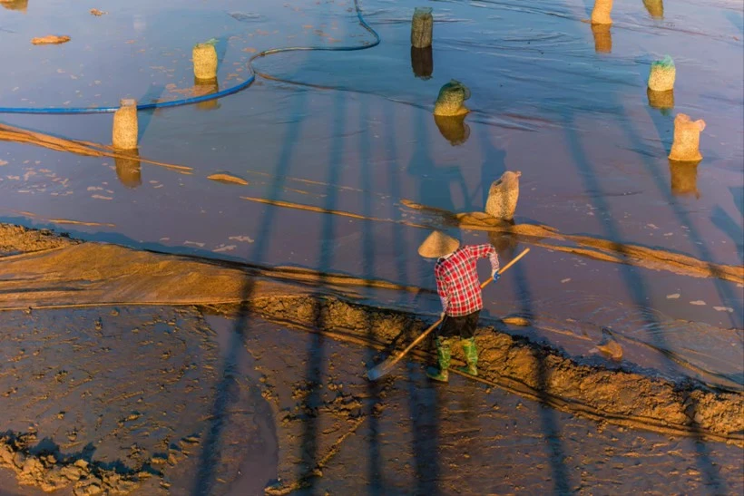 Le projet intitulé : « Intégration de la résilience au changement climatique et de la protection de l’environnement pour le développement des villes vertes de type II ». Photo: nhandan.vn