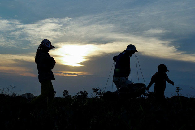 Le bonheur familial simple dans différentes régions du Vietnam ảnh 1 Le bonheur familial simple dans différentes régions du Vietnam ảnh 1
